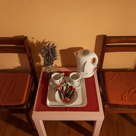 Guest house Floreus 3*